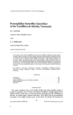 Pronophiline butterflies (Satyridae) of the