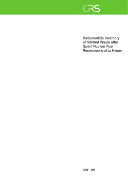 Radionuclide Inventory of Vitrified Waste from Spent Nuclear Fuel