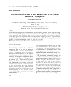 Intracellular Biosynthesis of Gold Nanoparticles by the Fungus