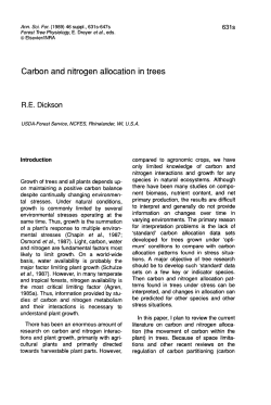 Carbon and nitrogen allocation in trees