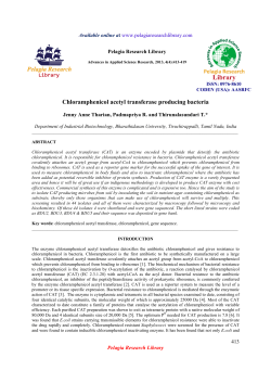 Chloramphenicol acetyl transferase producing bacteria