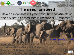 To drink or not to drink?