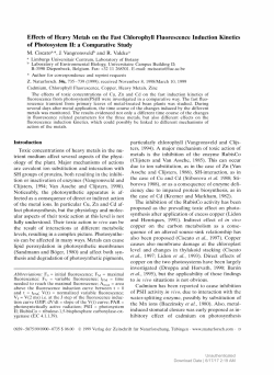 Effects of Heavy Metals on the Fast Chlorophyll
