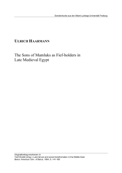 The Sons of Mamluks as Fief-holders in Late