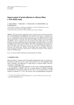 Improvement of metal adhesion to silicone films: a ToF-SIMS
