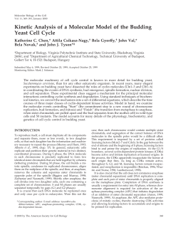 Kinetic Analysis of a Molecular Model of the Budding Yeast Cell Cycle