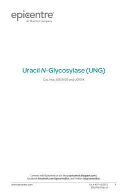 Protocol for Uracil N-Glycosylase (UNG)