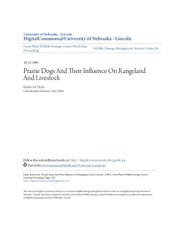Prairie Dogs And Their Influence On Rangeland And Livestock