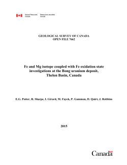 Fe and Mg isotope coupled with Fe oxidation state investigations at