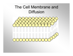 The Cell Membrane and Diffusion