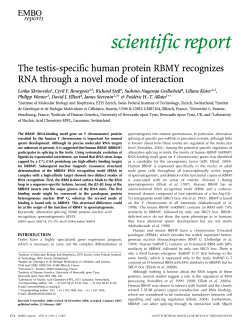 scientificreport