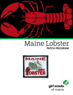 Maine Lobster - girlscoutsofmaine.org