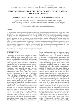 EFFECT OF NITROGEN ON THE TRANSLOCATION OF DRY MASS
