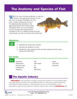 The Anatomy and Species of Fish