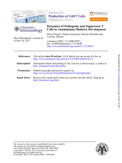 Cells in Autoimmune Diabetes Development Dynamics of