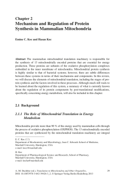Mechanism and Regulation of Protein Synthesis in Mammalian