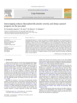 Intercropping reduces Mycosphaerella pinodes severity and delays