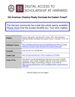 Did American Chestnut Really Dominate the Eastern Forest? The