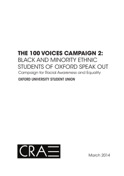 Read the 100 Voices Report