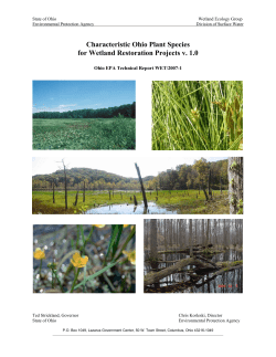 Characteristic Ohio Plant Species for Wetland