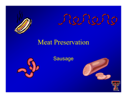 Sausage