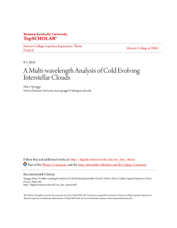 A Multi-wavelength Analysis of Cold Evolving Interstellar Clouds