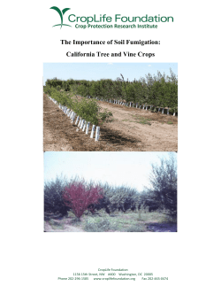 The Importance of Soil Fumigation: California Tree and Vine Crops