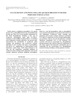 Blood-perfused turtle lung CO2 excretion
