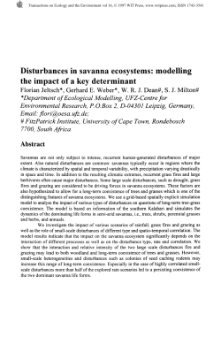 Disturbances in savanna ecosystems: modelling the