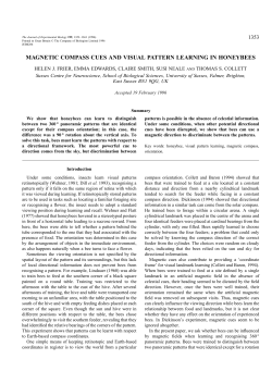 magnetic compass cues and visual pattern learning in honeybees