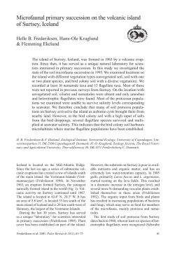 Microfaunal primary succession on the volcanic island of