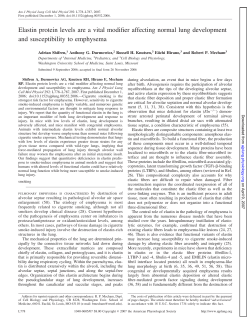Elastin protein levels are a vital modifier affecting