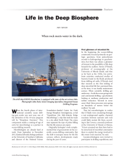 Life in the Deep Biosphere