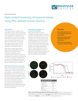 Screening of Neuronal Toxicity, iPSC Derived Human Neurons