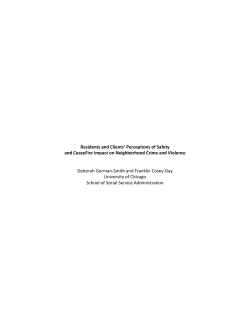 Ceasefire Qualitative Evaluation