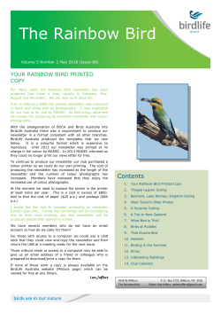 The Rainbow Bird - Birdlife Australia