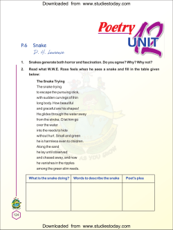 CBSE Class 10 Poetry Snake