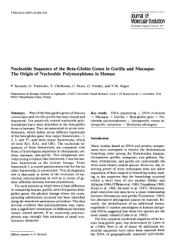 Nucleotide sequence of the beta-globin genes in gorilla and