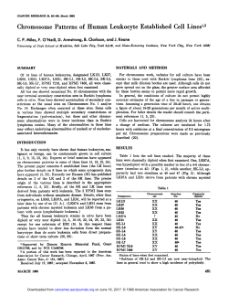 Chromosome Patterns of Human Leukocyte