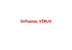 Influenza VIRUS