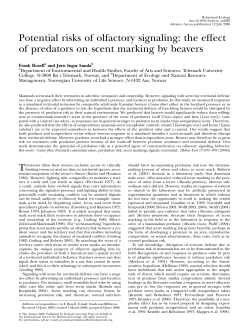 Potential risks of olfactory signaling: the effect of