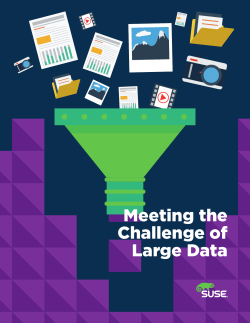 Meeting the Challenge of Large Data