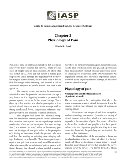 Chapter 3 Physiology of Pain