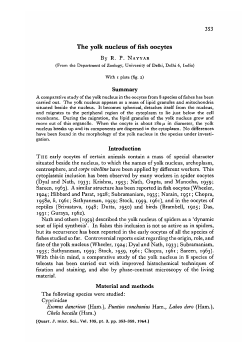 The yolk nucleus of fish oocytes Summary Introduction Material and