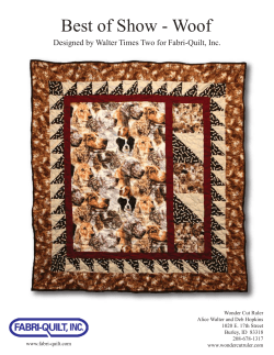 Best of Show Cover Full Size - Fabri