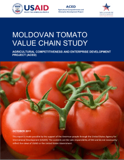 ACED Tomato Value Chain Study