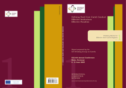 Building Blocks for Effective Anti-Cartel Regimes