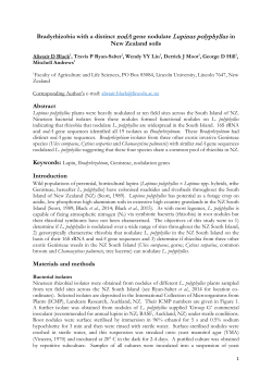 Bradyrhizobia with a distinct nodA gene