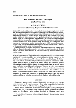 The Effect of Sudden Chilling on Escherichia coli