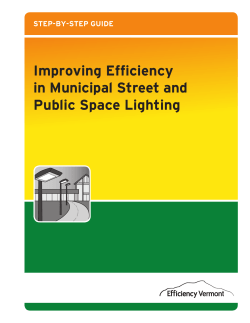 Improving Efficiency in Municipal Street and Public Space Lighting